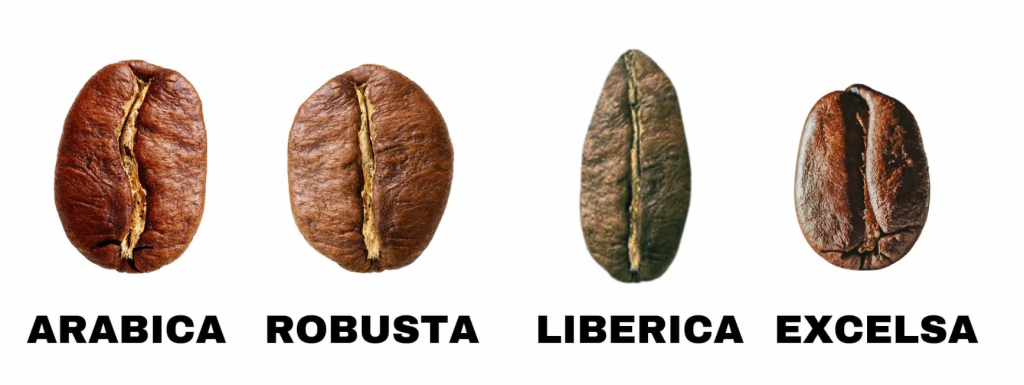 Видове кафета
