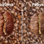 Арабика или Робуста: Каква е разликата и кое кафе да изберем?